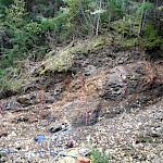 Typical semi-massive to massive stratiform, bedded, sulphide-solfusalt, mineralized Skeena Group sediments (MAX Target Hillside)