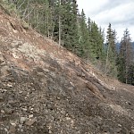 Expanded Trench of typical semi-massive to massive stratiform, bedded, sulphide-solfusalt, mineralized Skeena Group sediments (MAX Target Hillside)