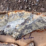 Detail of sample from 728 Mike’s – outcrop discovery June 2017