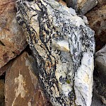 Typical white bleached shards and sub angular clasts on the vertical margins of a breccia pipe -black Tourmaline cement and veinlets